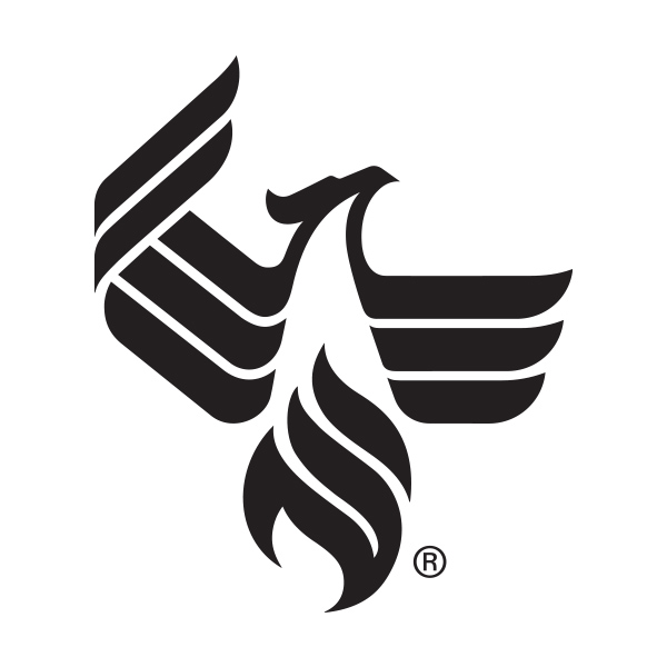 ۴ý logo bird with registered trademark