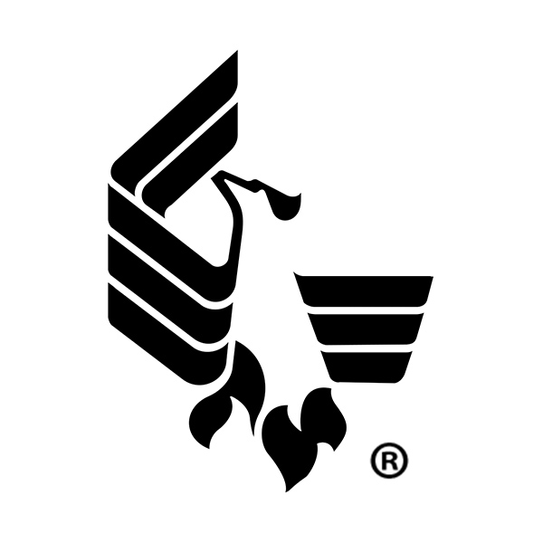 ۴ý bird logo with registered trademark